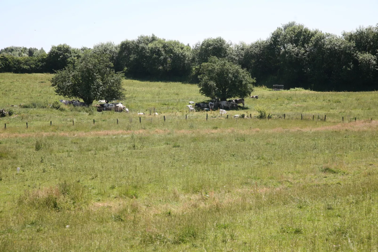 Le Gîte des Grands Prés-Areas summer 1km