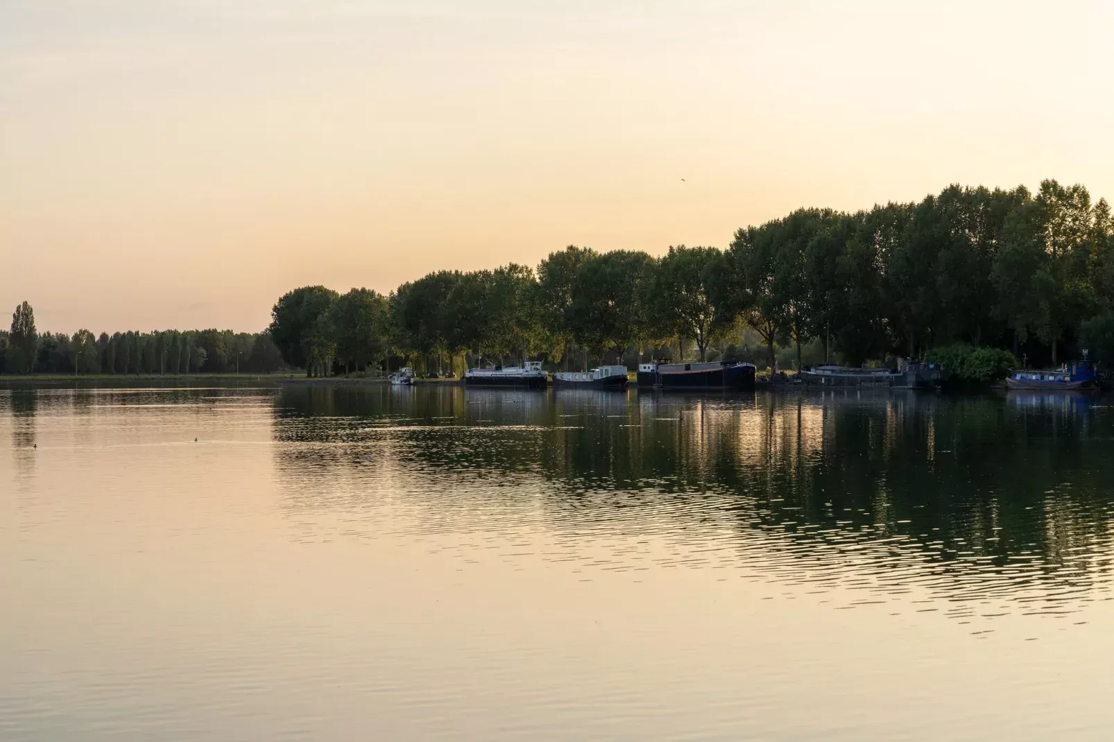 The Cottage by YourNature-Areas summer 1km