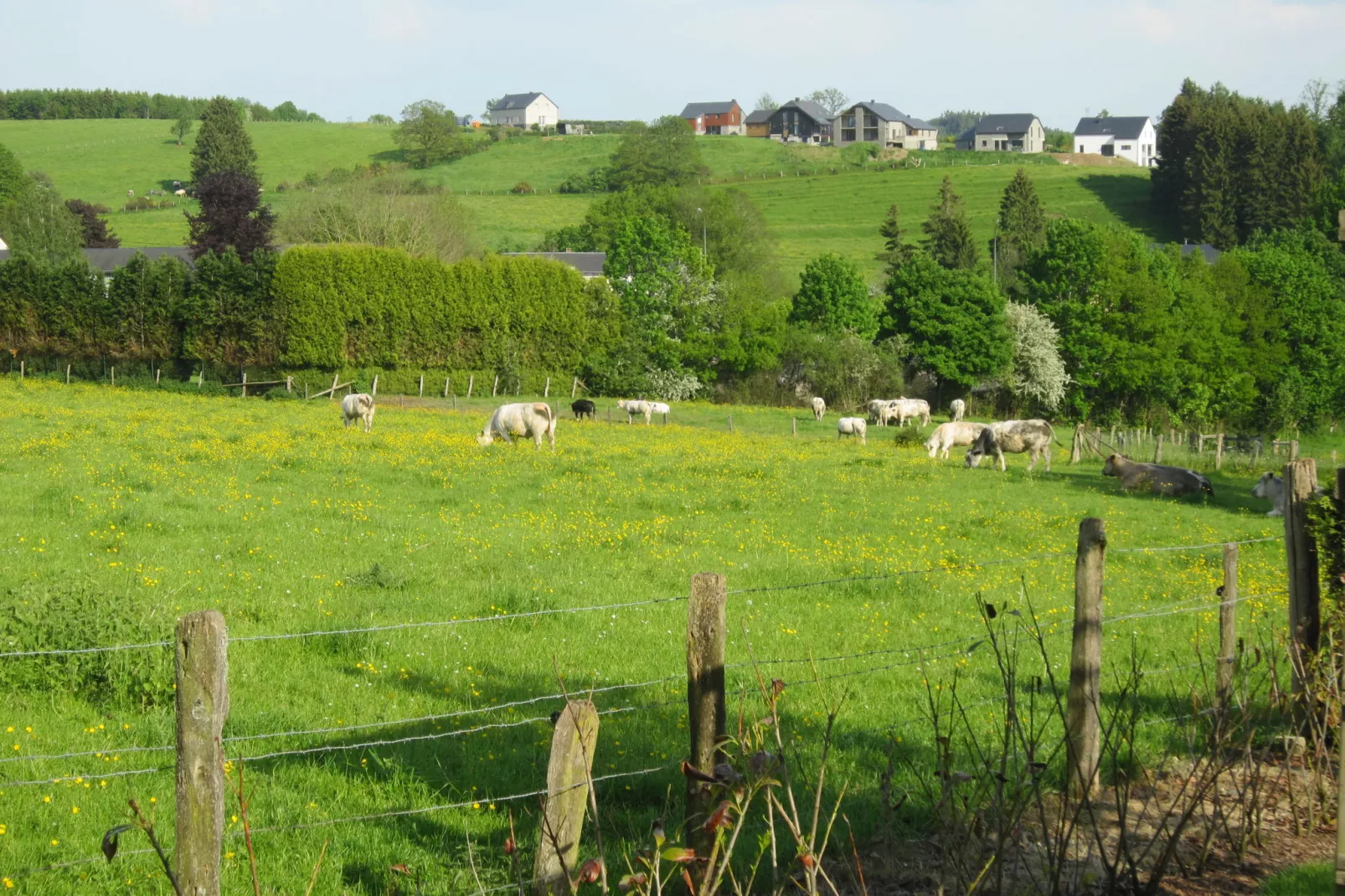 Gite du Courteroye 6 pax-View summer