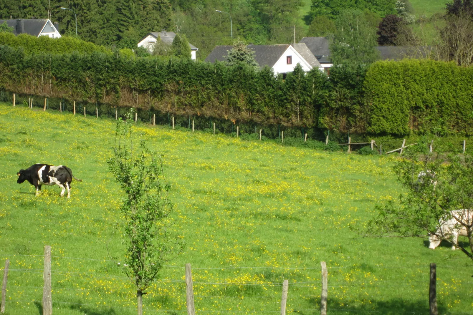 Gite du Courteroye 6 pax-Areas summer 1km