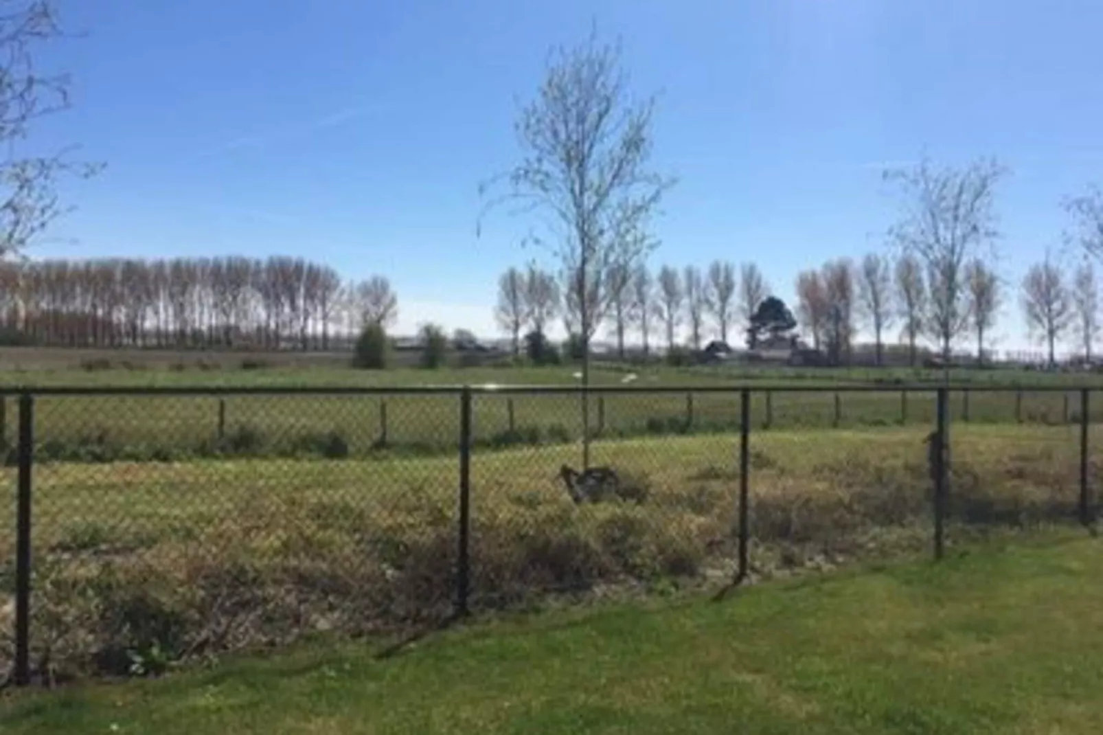 Landgoed de Lente 12 Krokus Breskens-Aussicht Sommer