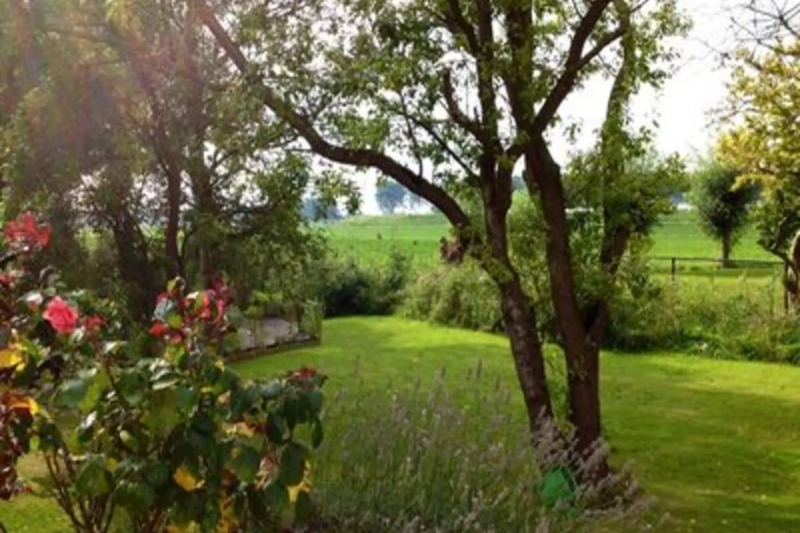Nummer Één 26a Hoofdplaat-Jardin d'été
