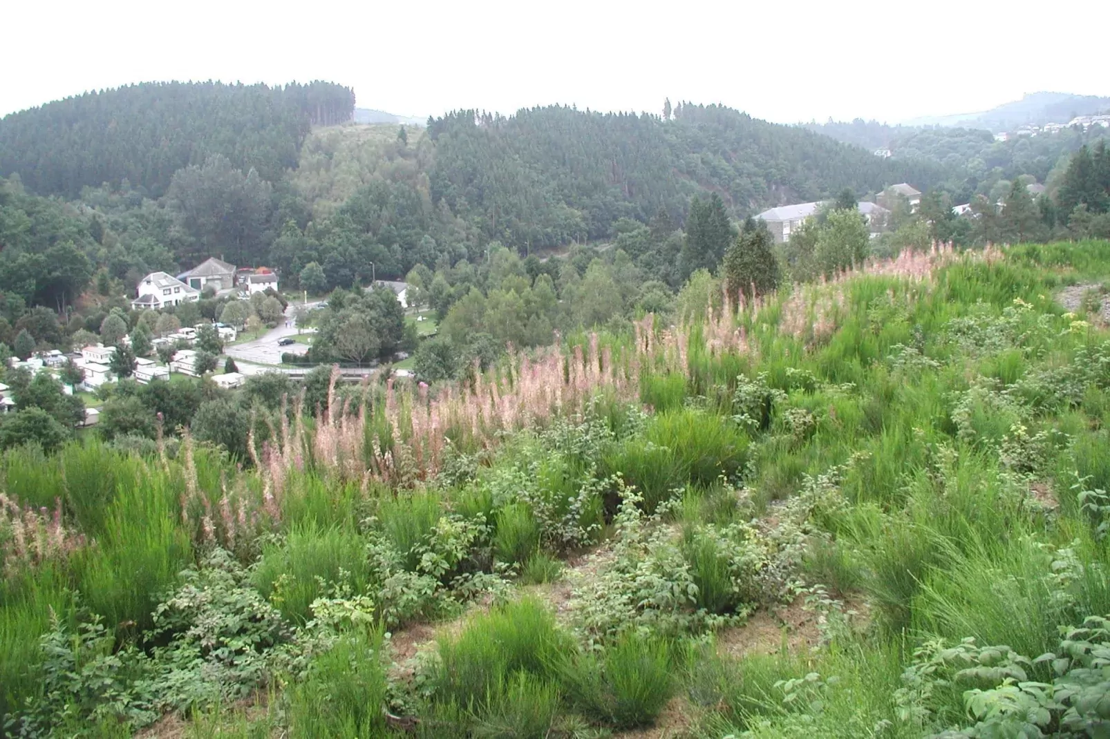 Les Jardins de l'Ourthe 16-Areas summer 1km