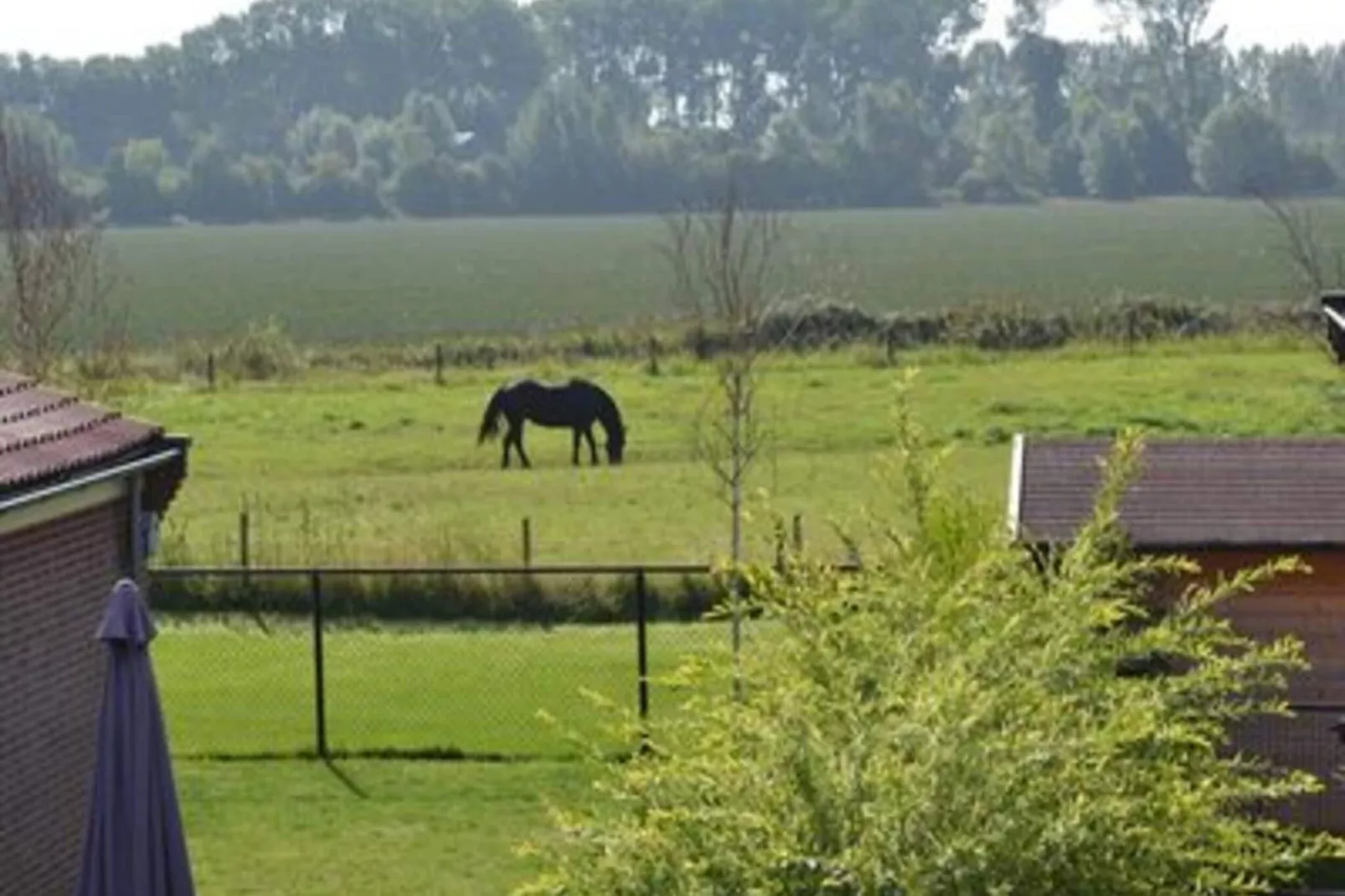 Landgoed de Lente 36 Krokus Breskens-Vue d'été