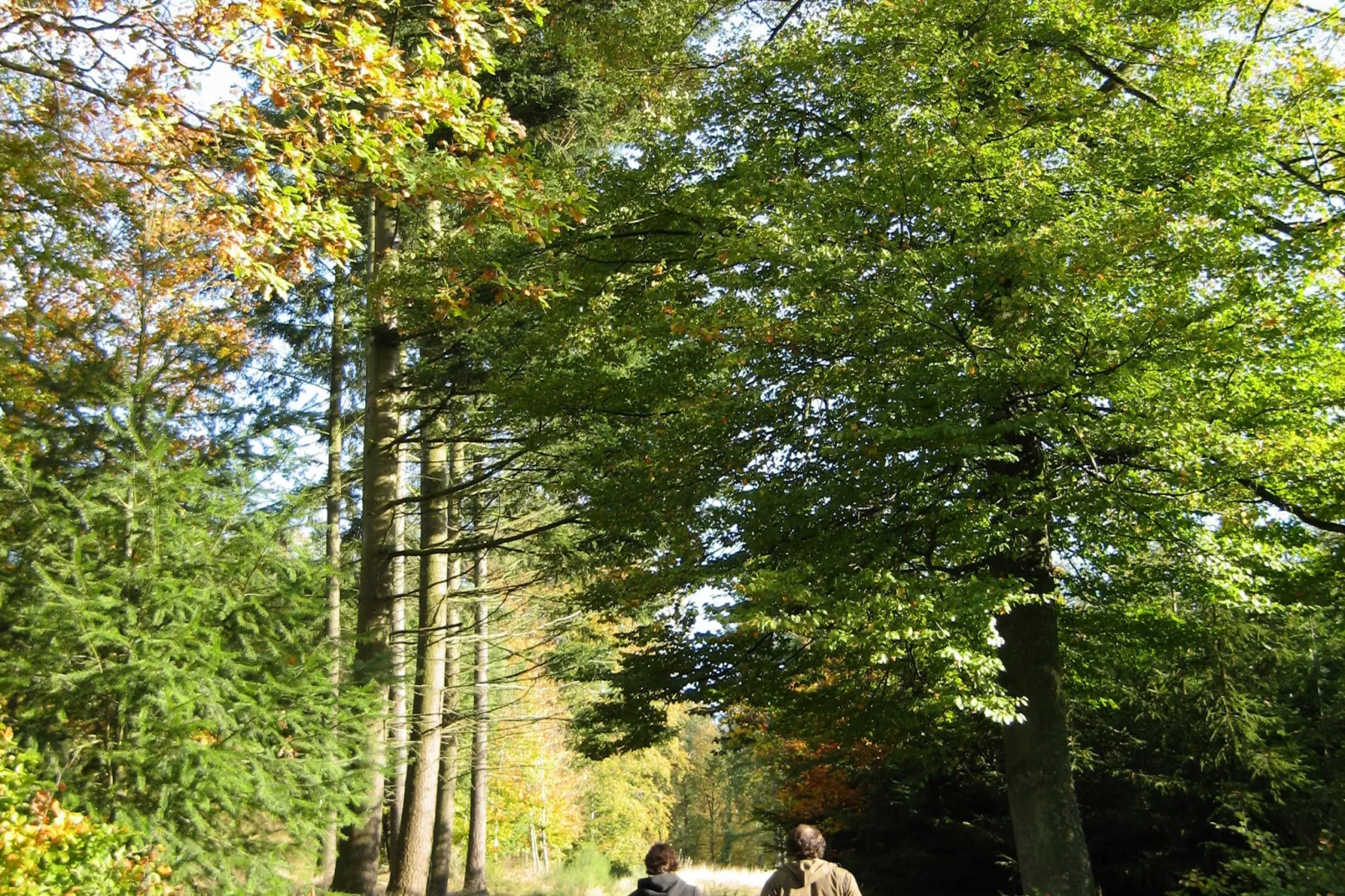 Les Jardins de l'Ourthe 8-Gardens summer