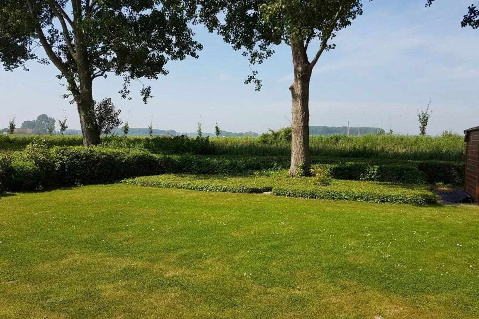 Schoneveld 170 Zeemeeuw Breskens-Gardens summer