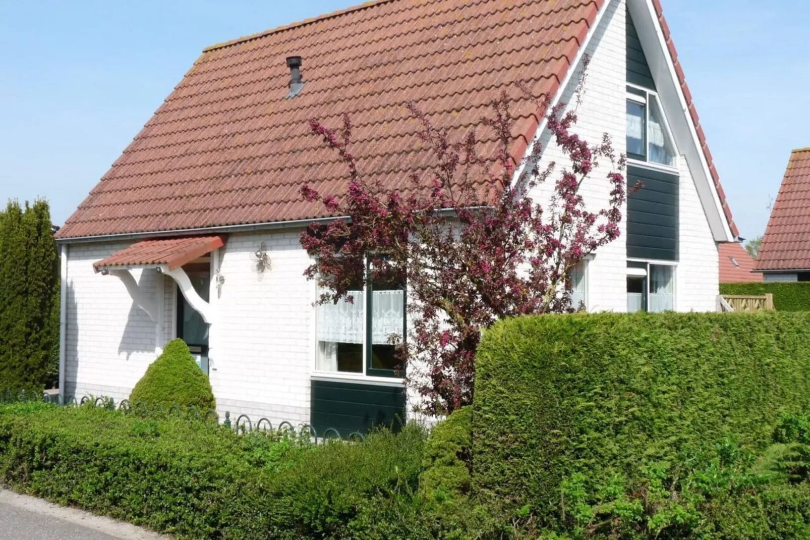 Schoneveld 246 Stern Breskens-Exterior summer