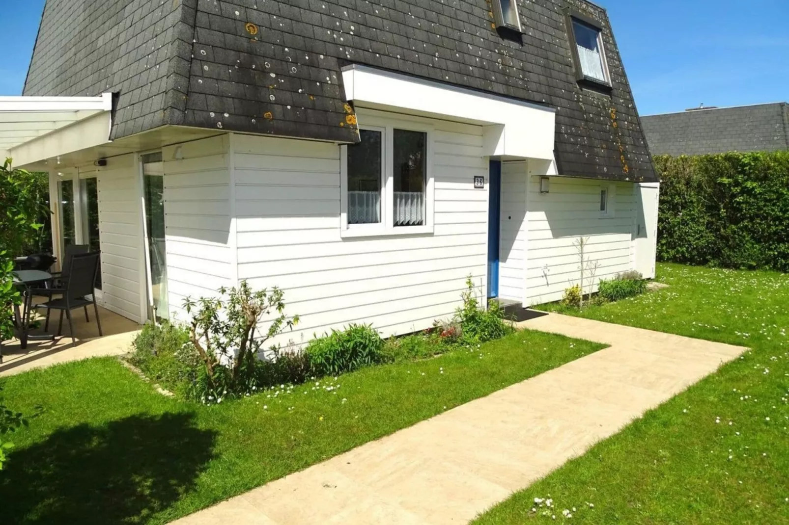 Schoneveld 36 Zeester Breskens-Exterior summer