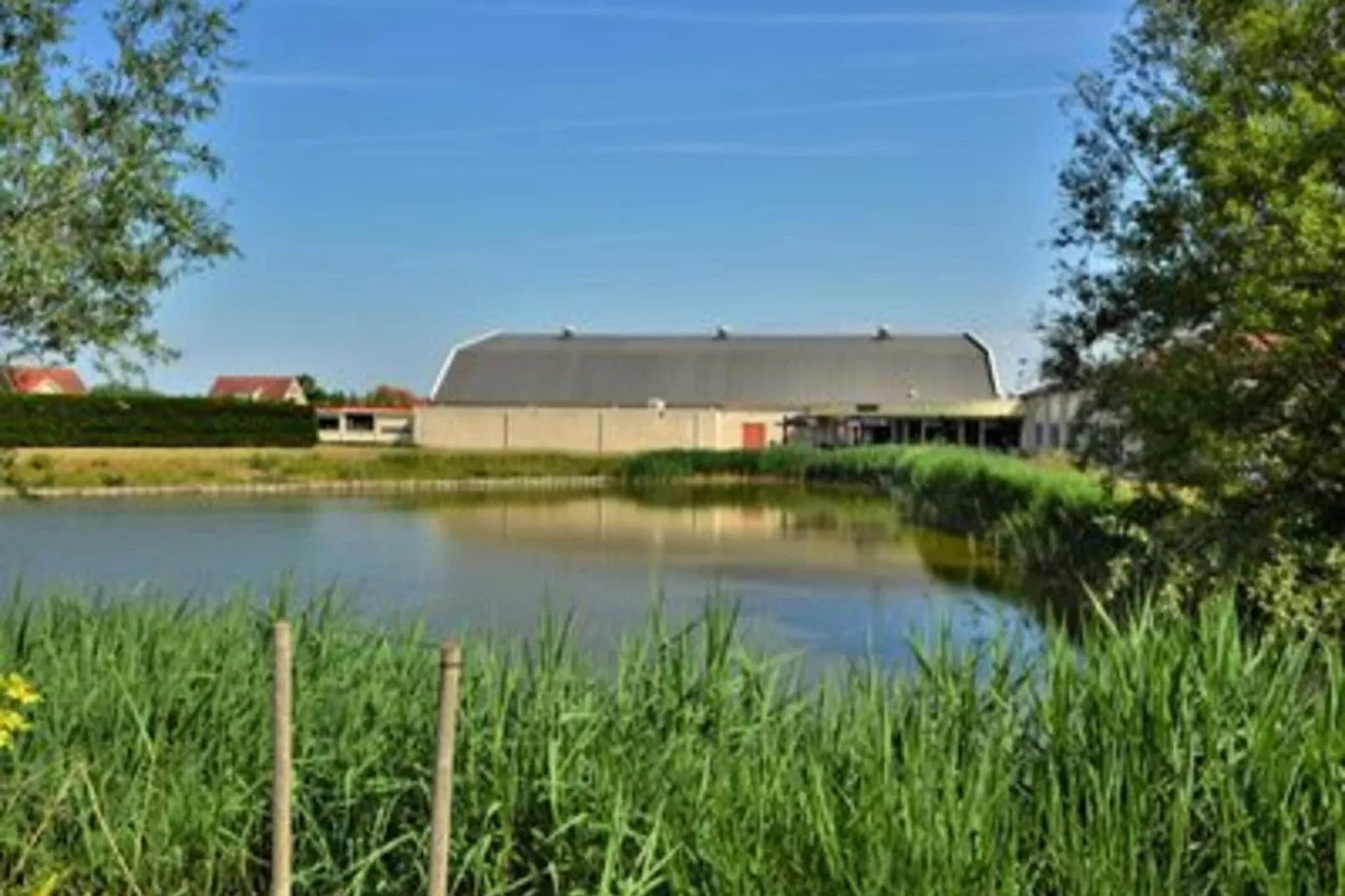 Scheldeveste 47 Zwin Breskens-View summer