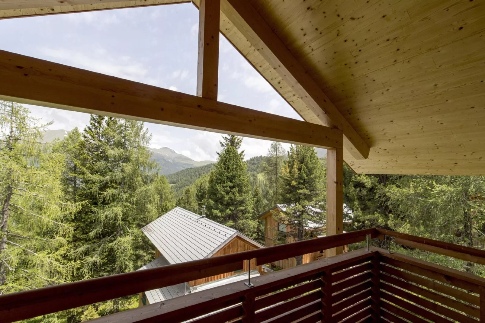 Alpenpark Turrach 14-Terrace balcony