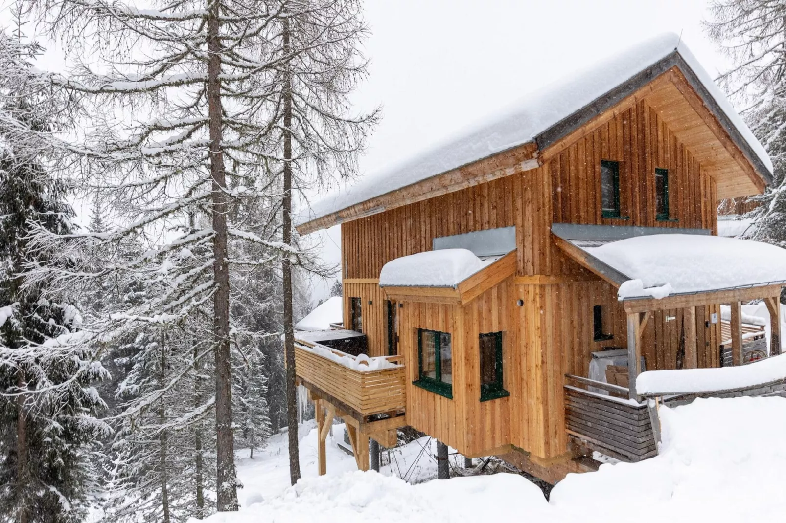 Alpenpark Turrach 14-Exterior winter