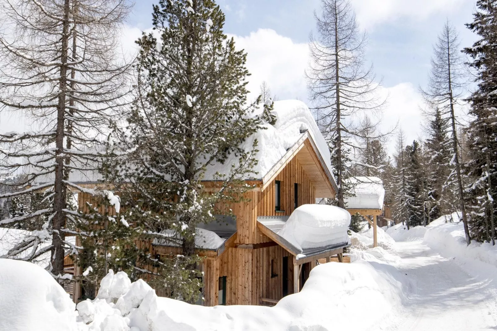 Alpenpark Turrach 14-Exterior winter
