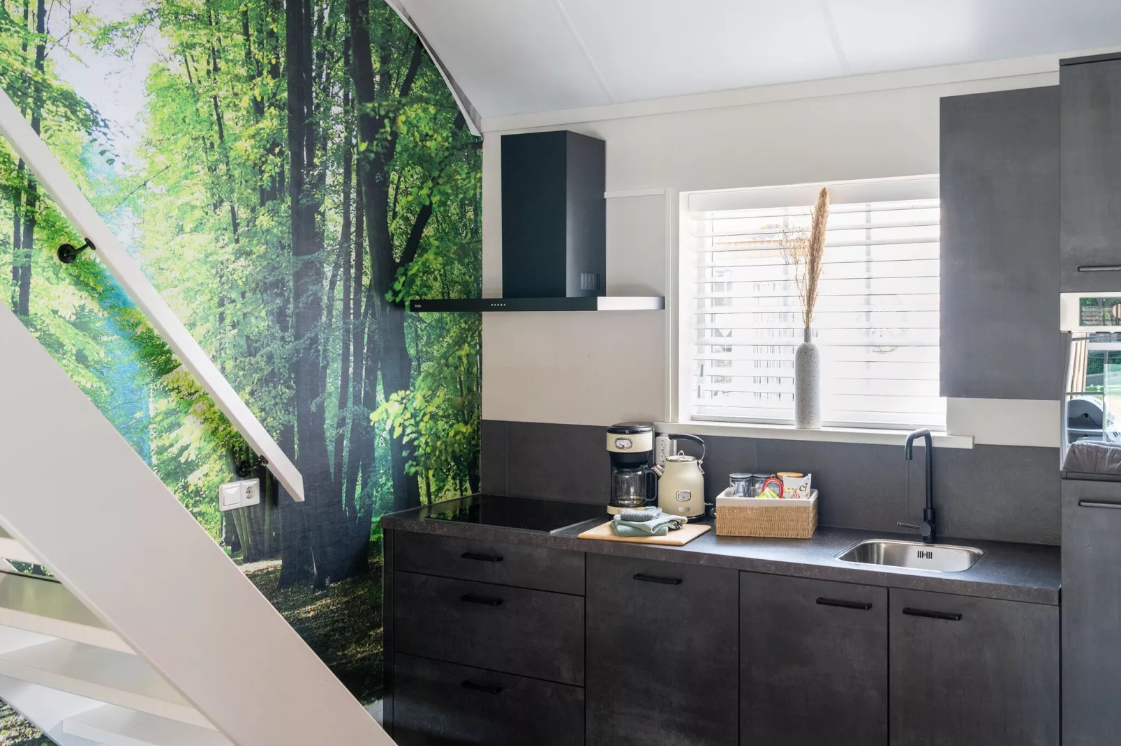 Luxe vakantiehuis Veluwe met Wellness-Kitchen