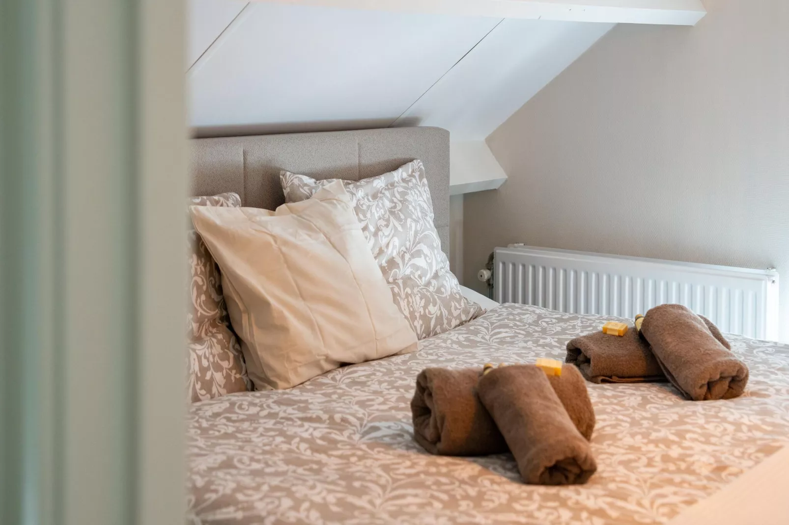 Luxe vakantiehuis Veluwe met Wellness-Bedroom