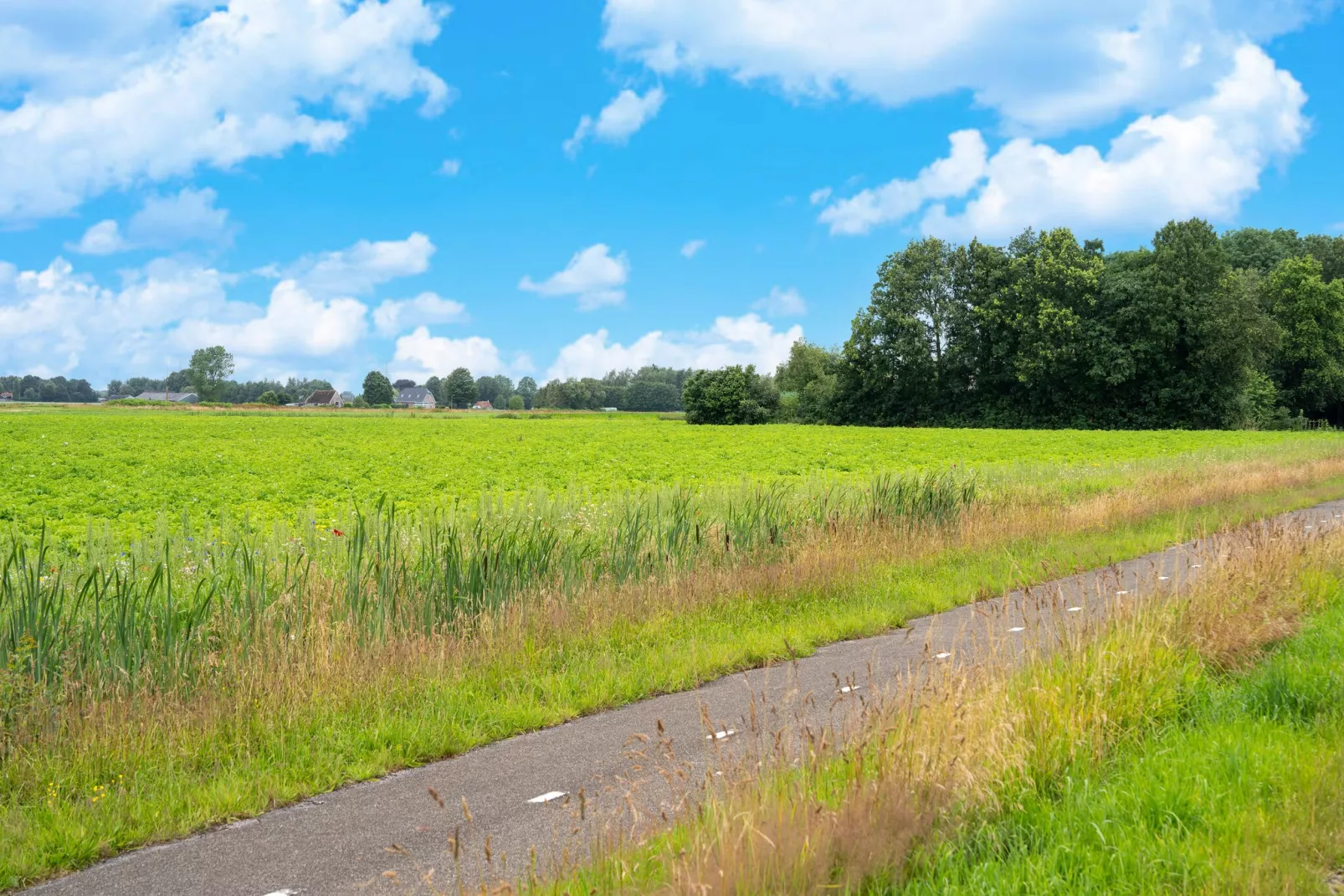 Luxe vakantiehuis Veluwe met Wellness-Areas summer 5km