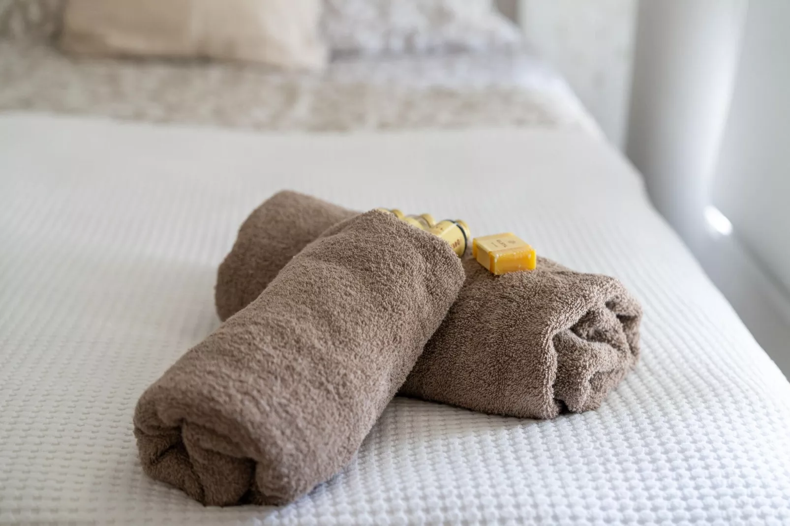 Luxe vakantiehuis Veluwe met Wellness-Atmosphere