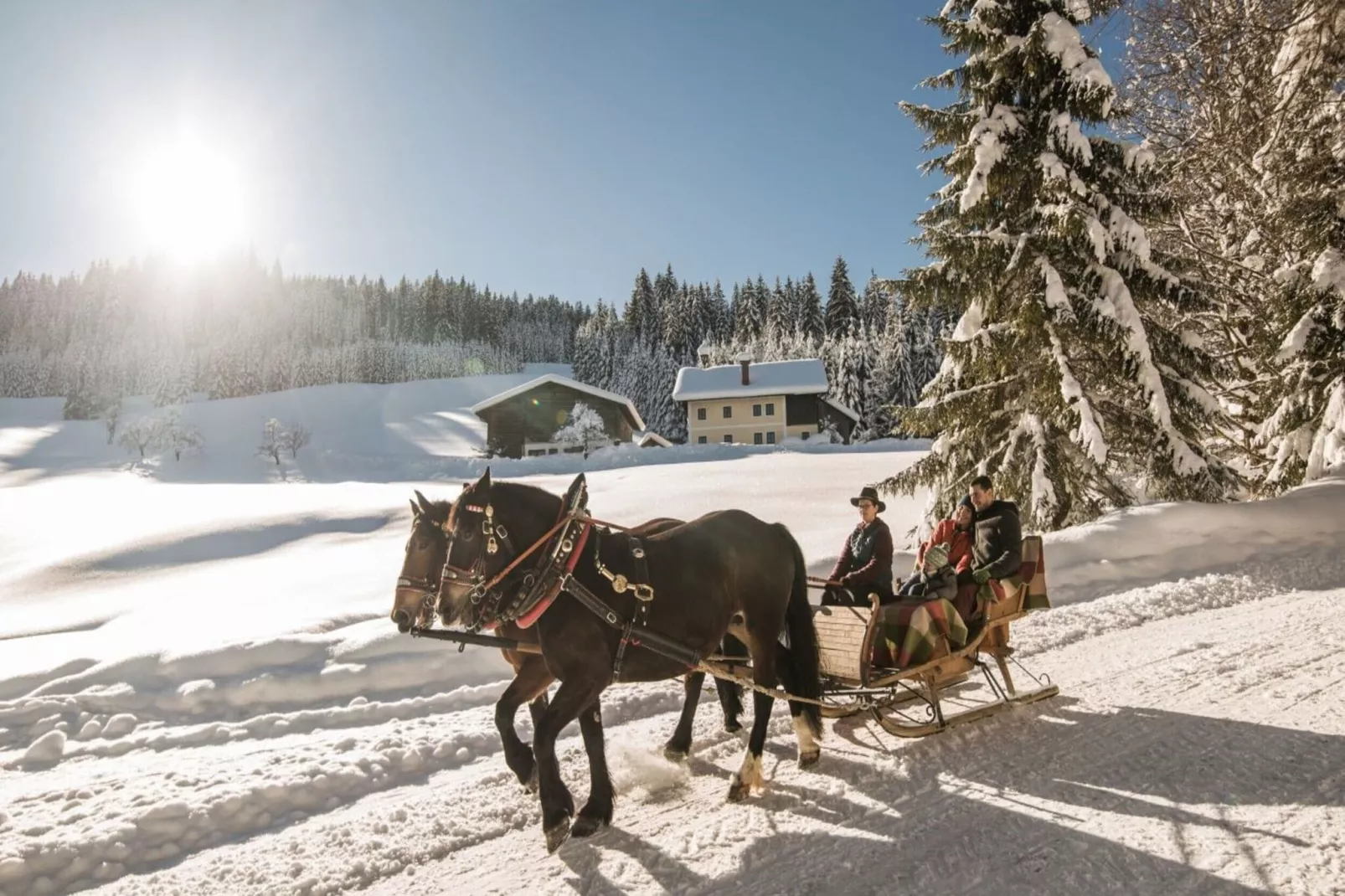 Hideaway Dachstein West 1-Area winter 5km