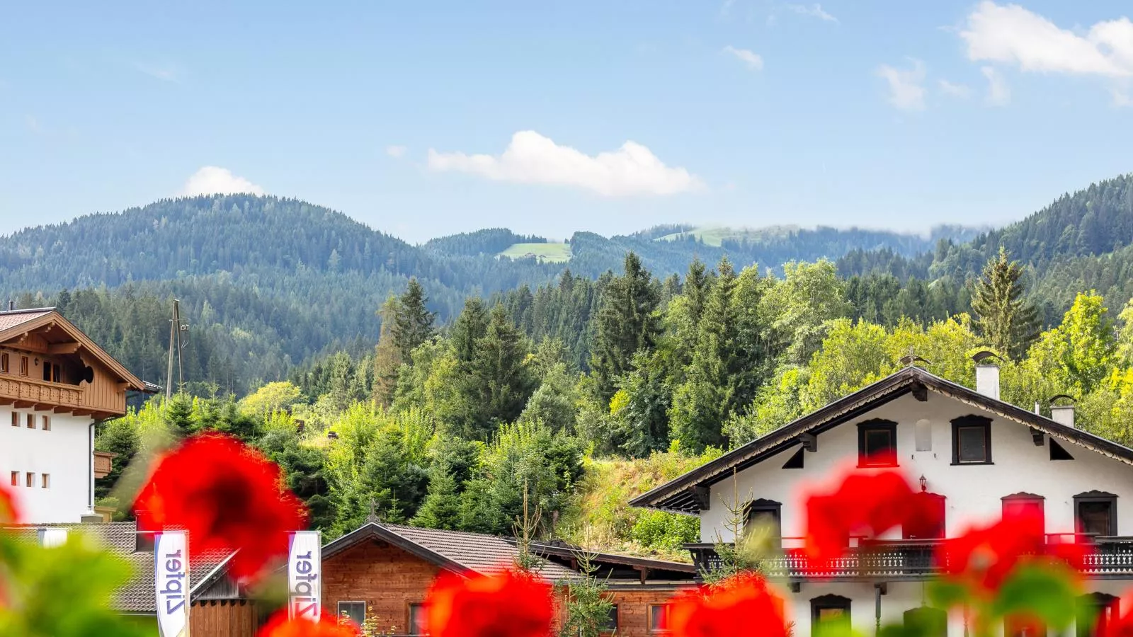 Zur Alten Schmiede-View summer
