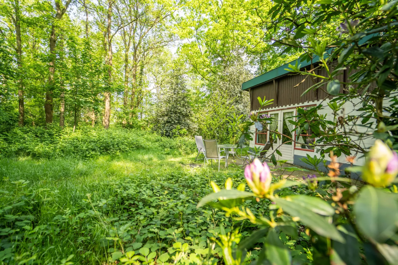 Boshuisje-Exterior summer