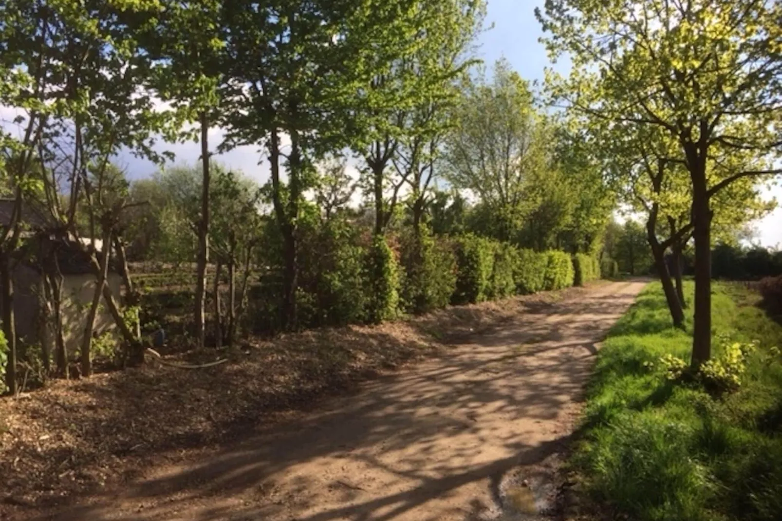 Boshuisje-Areas summer 1km