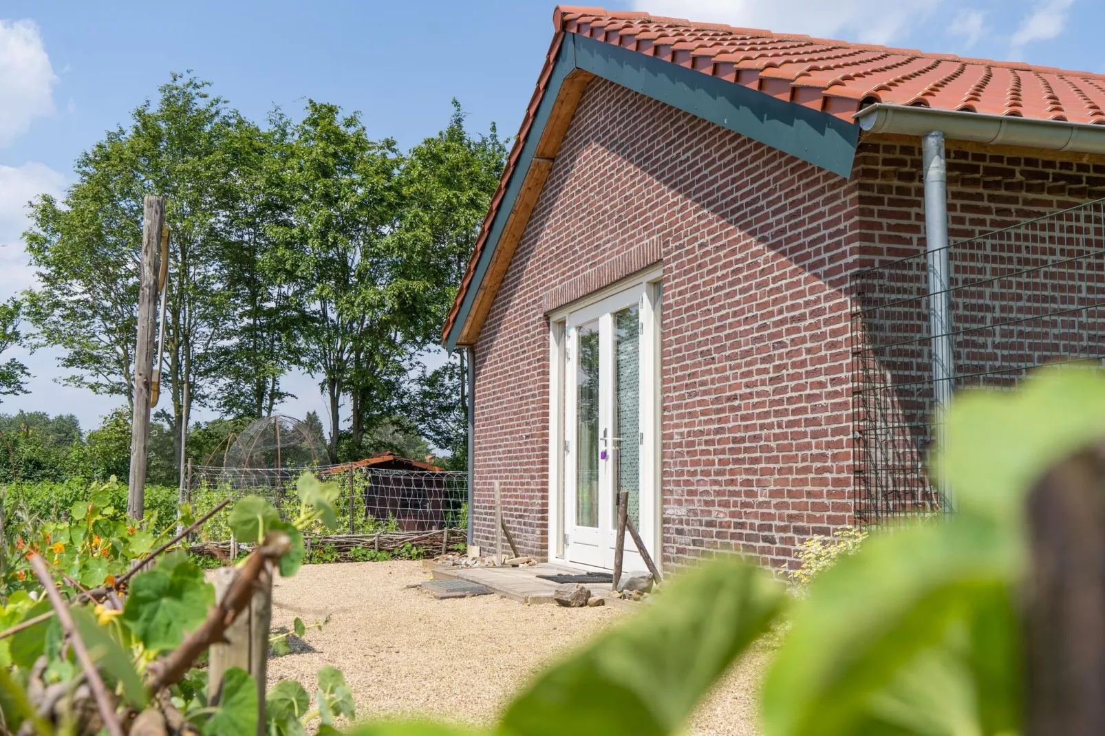 Landhoeve-Außenbereich Sommer