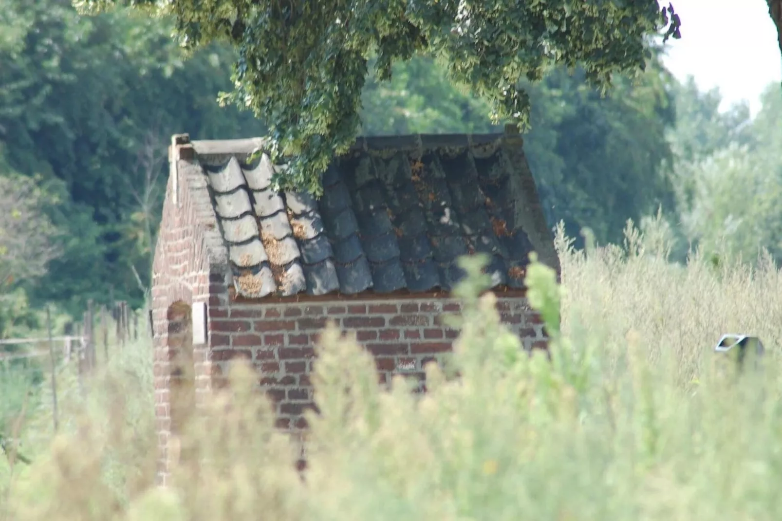 Landhoeve-Gebiete Sommer 5 km