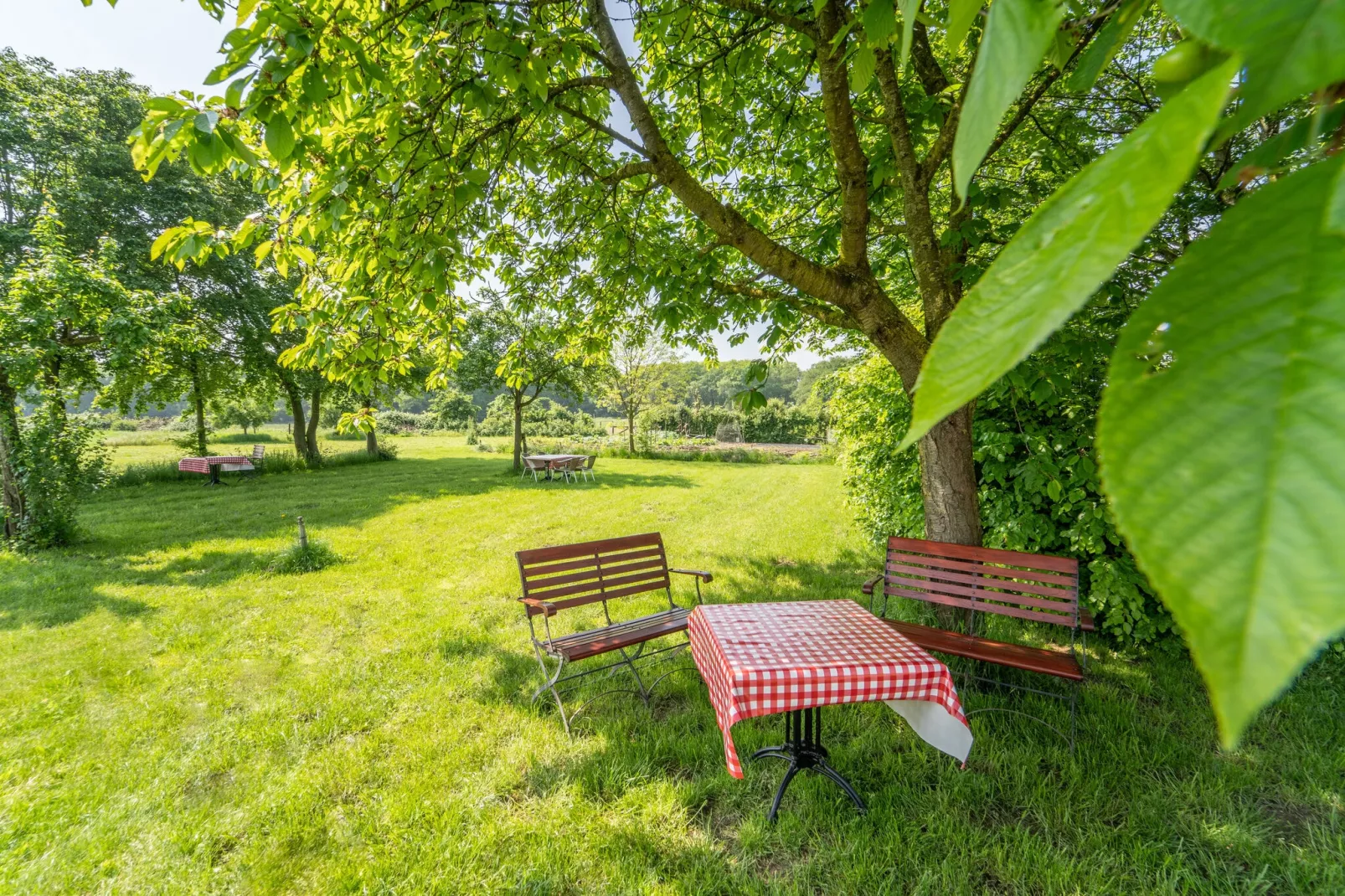 Luxe vakantiehuis-Gardens summer