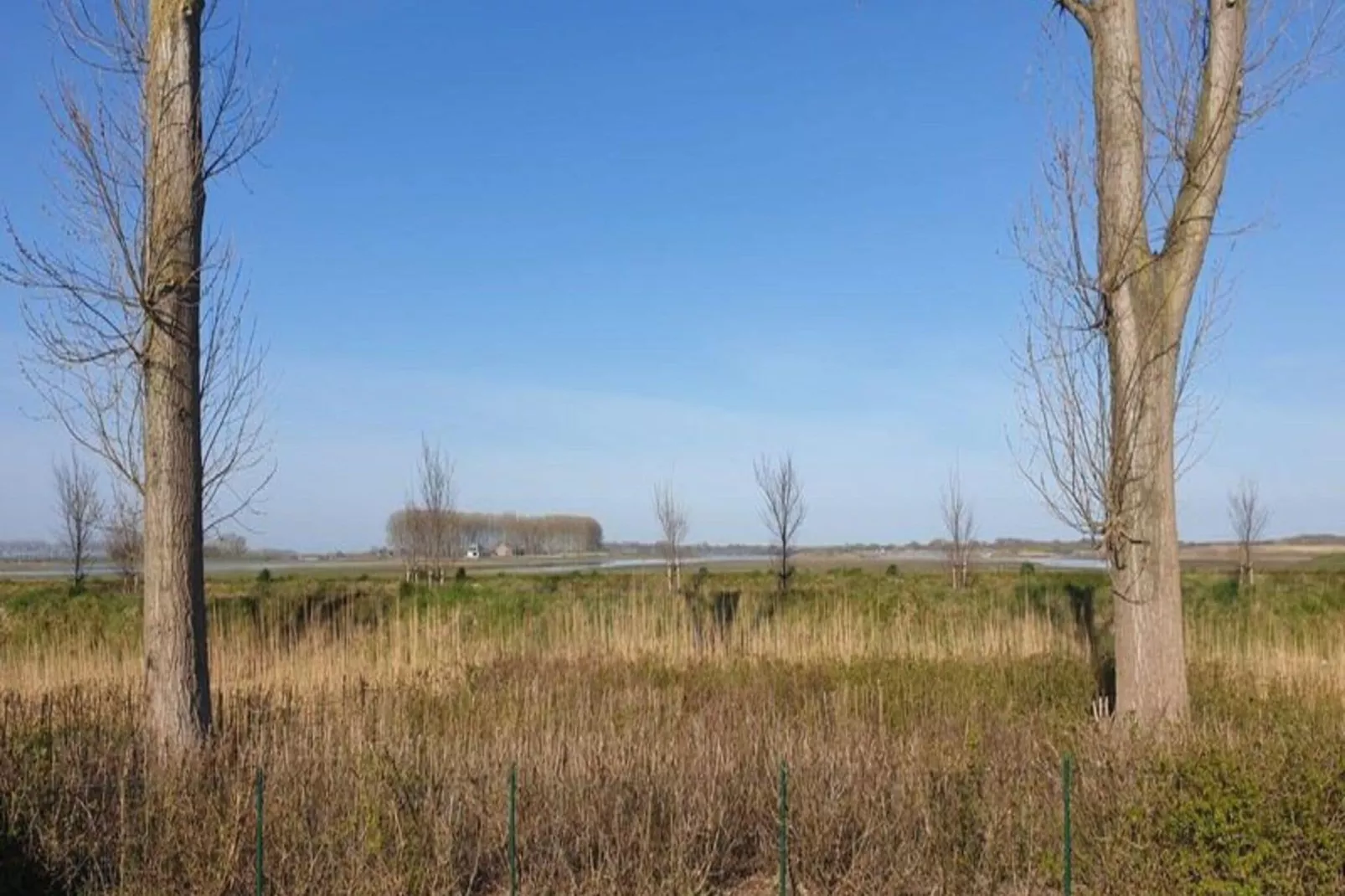 Schoneveld 176 Zeemeeuw Breskens-Areas summer 1km