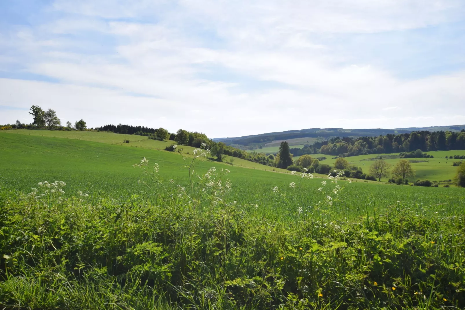 Li Saboti-Areas summer 5km