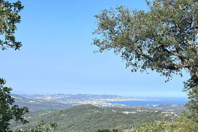 Villa Le Mas des Cerises-View summer