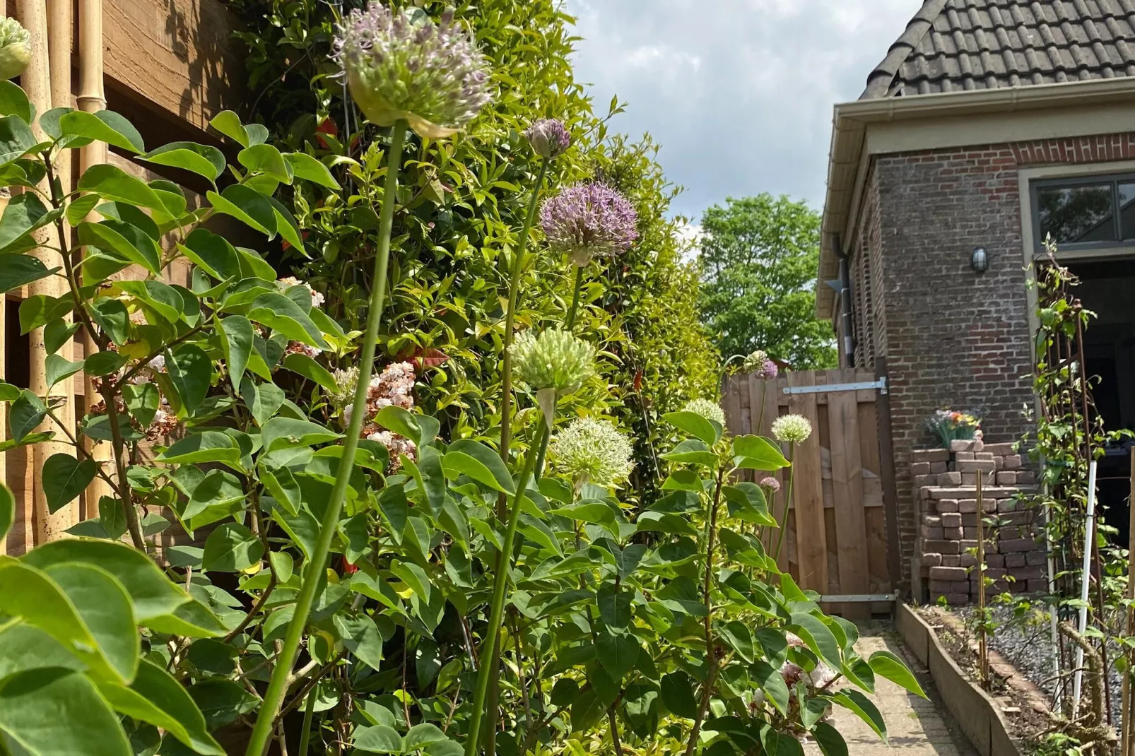 10-14 pax holiday home with seperated appartments and gardens-Gardens summer