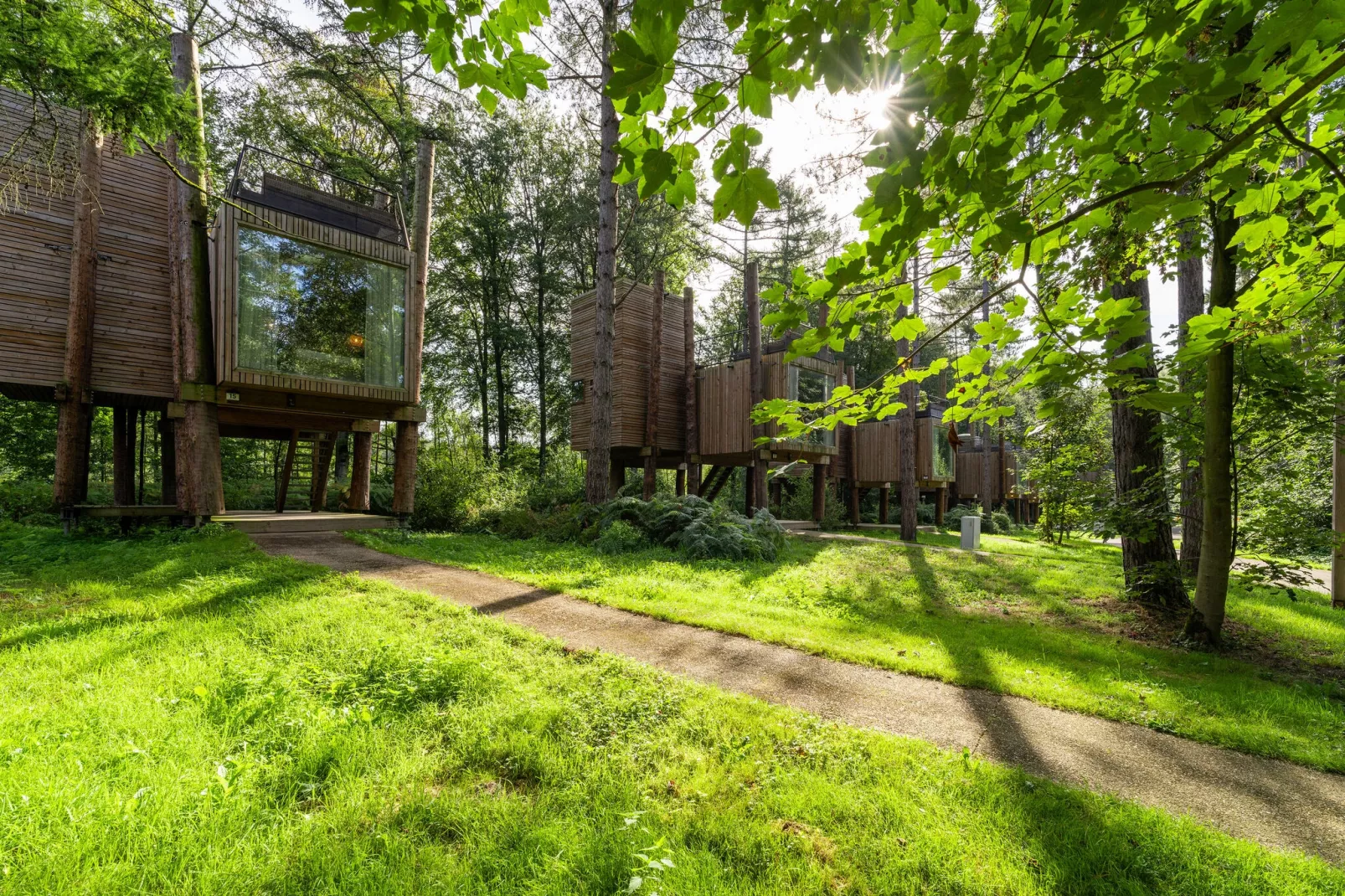 The TreeLoft by YourNature-Exterior summer