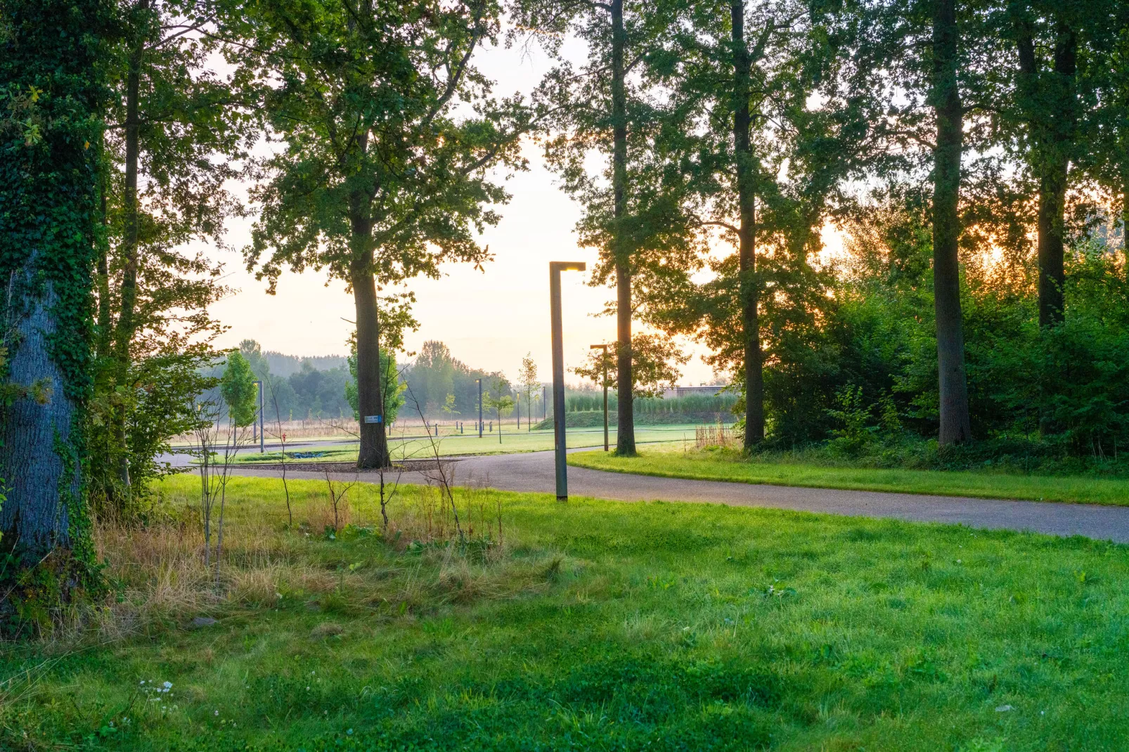 The TreeLoft by YourNature-View summer