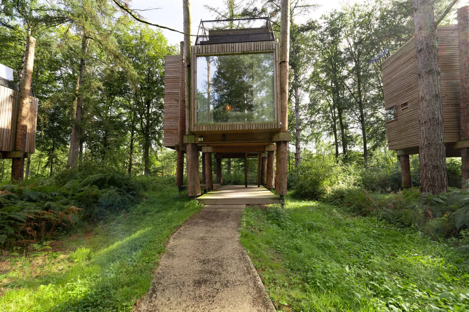 The TreeLoft by YourNature-Exterior summer