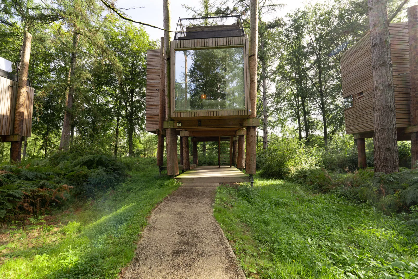 The TreeLoft by YourNature-Exterior summer