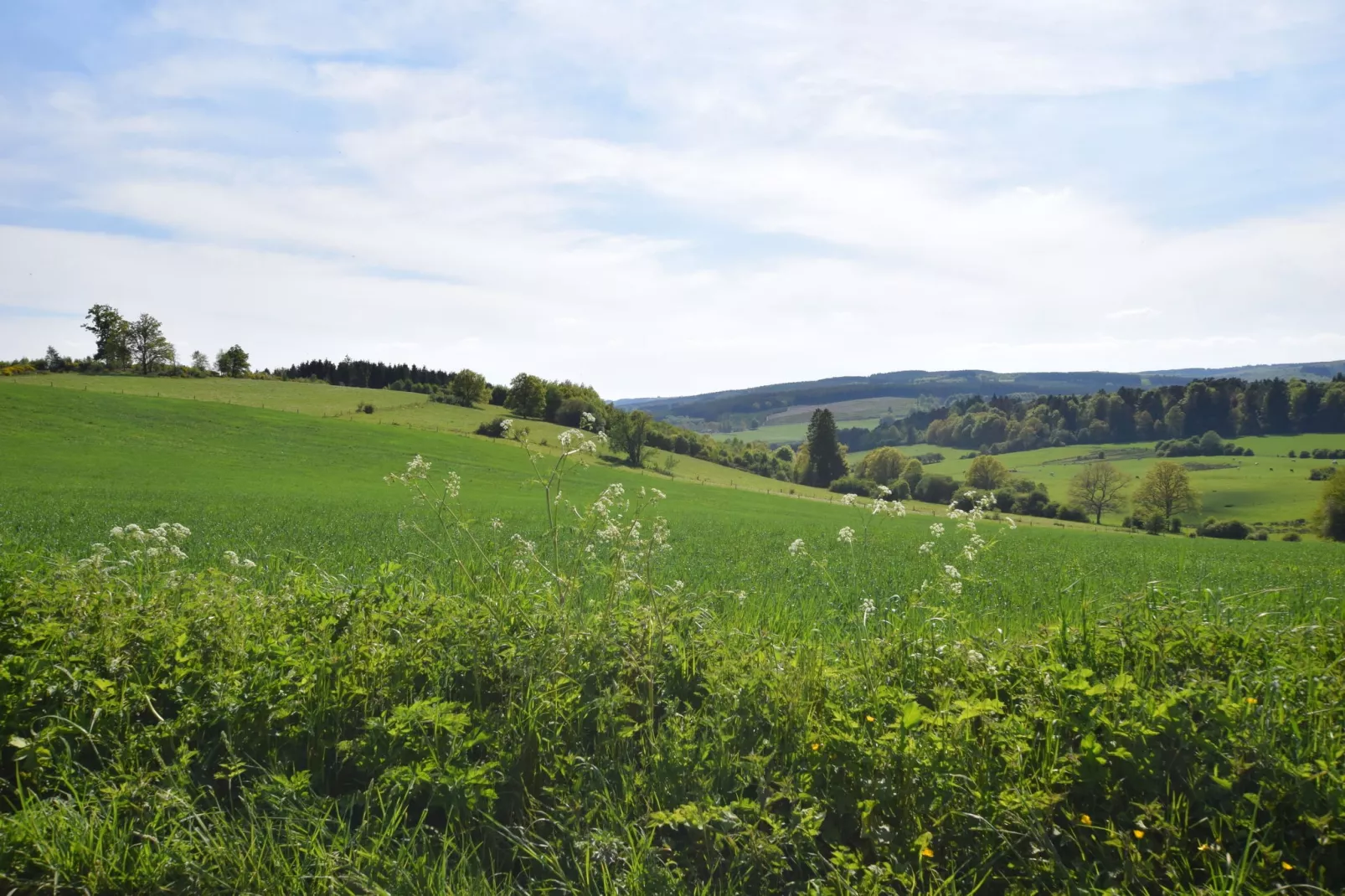 Le petit gite de Loulou-Areas summer 20km