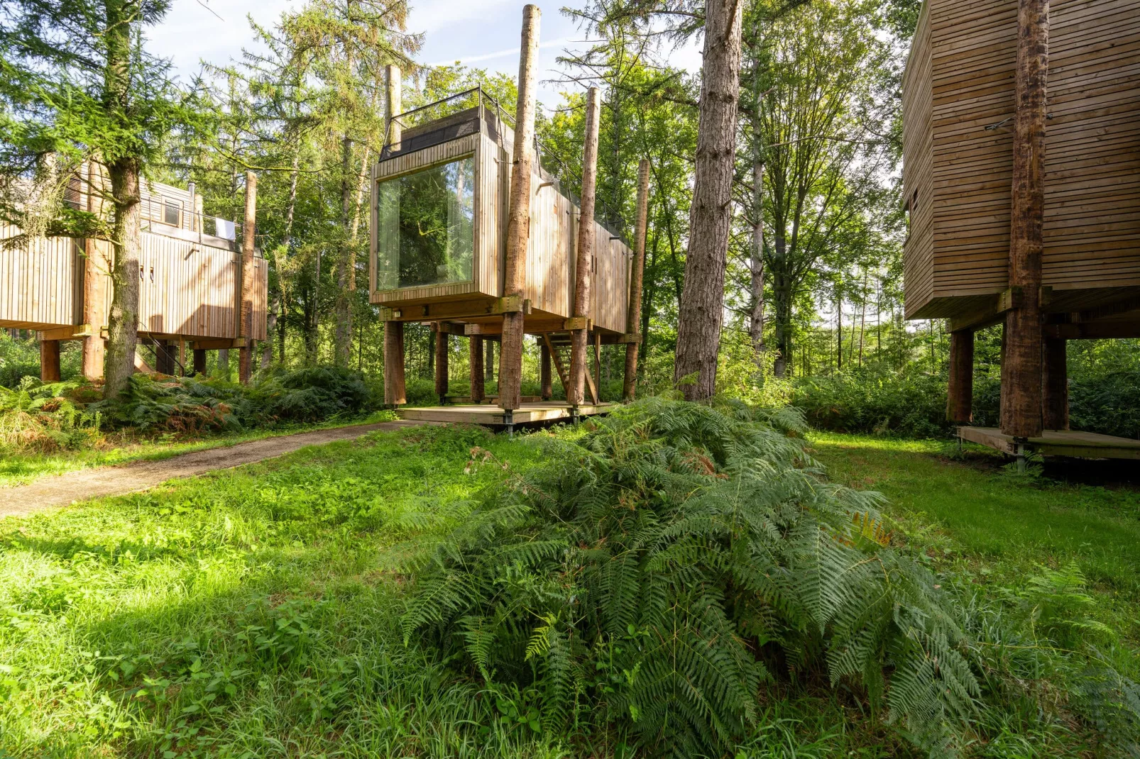 The TreeLoft by YourNature-Exterior summer