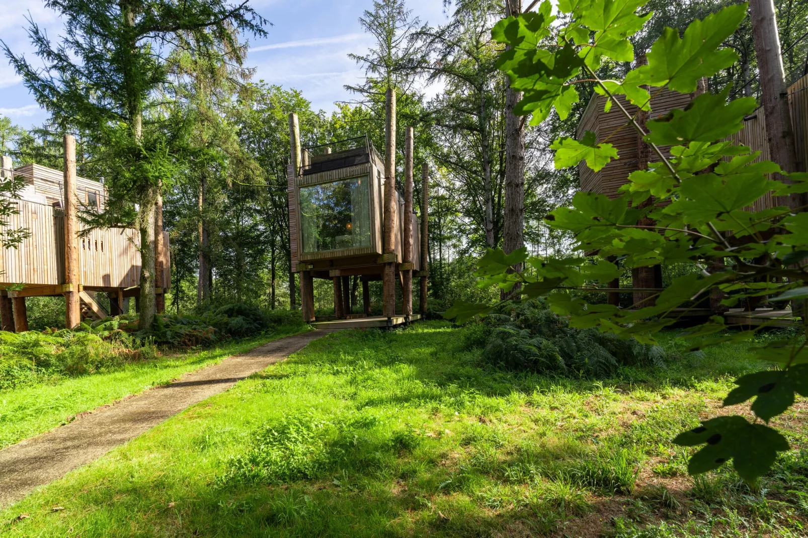 The TreeLoft by YourNature-Exterior summer