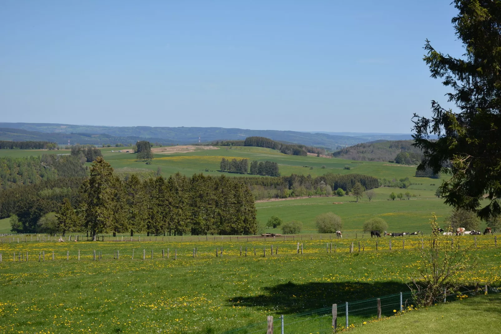 Le Chalet du Coteau-View summer