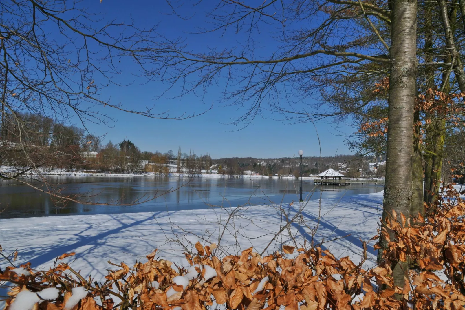 Les Doyards 1-Area winter 1km