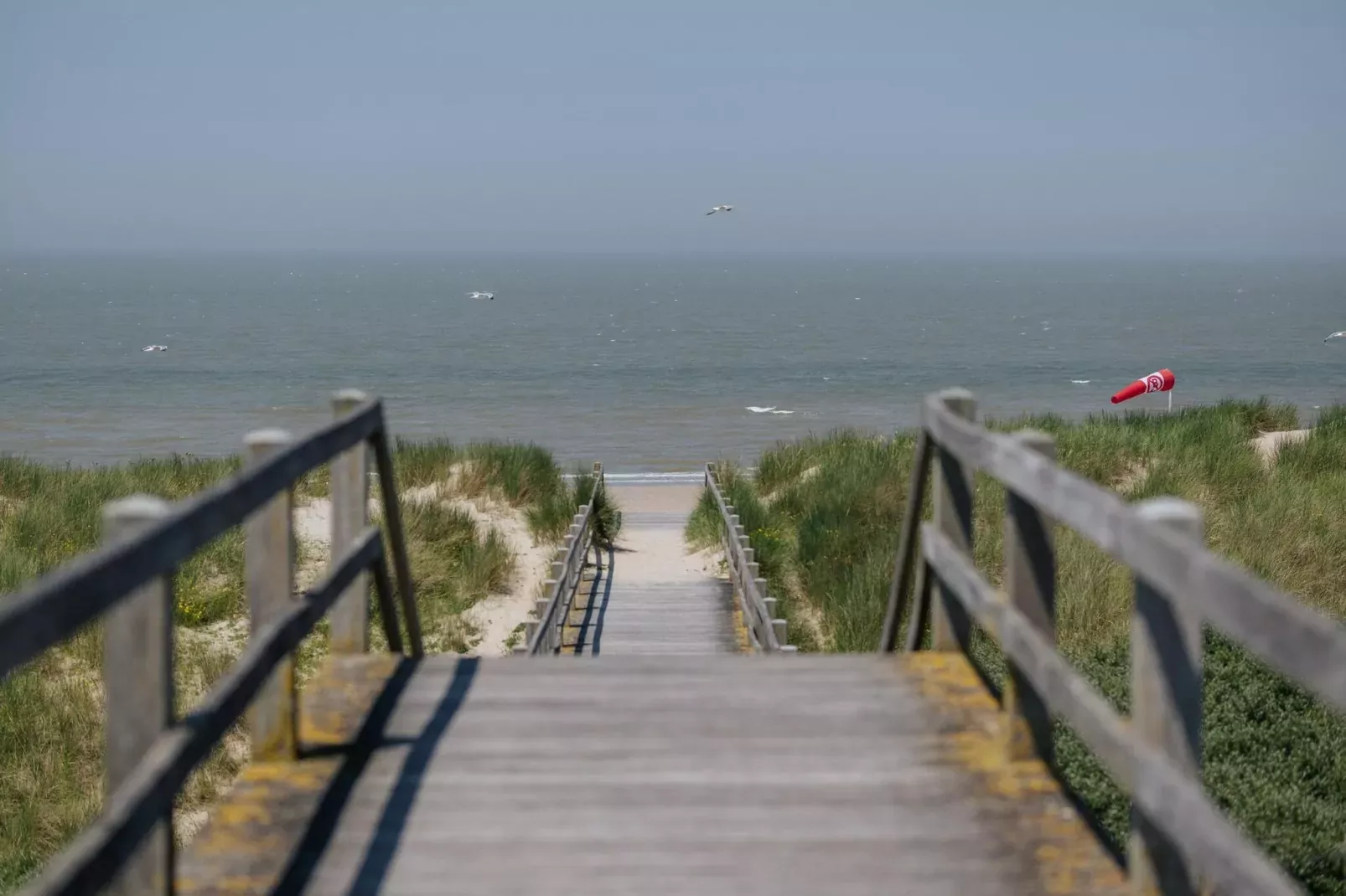 Golden beach 2 D 0204 2D-Gebiete Sommer 20 km