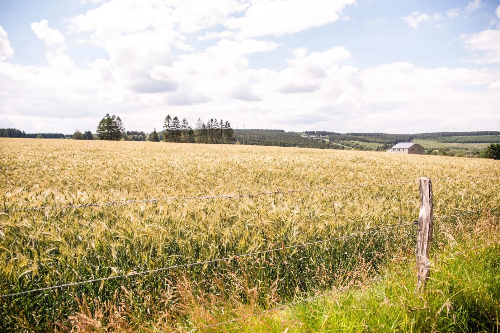Coteau Saint-Hilaire 3-Areas summer 1km