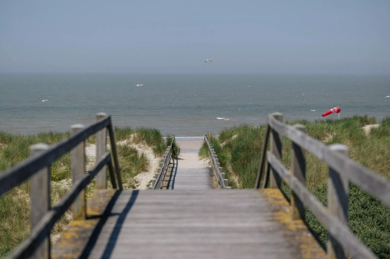 Sandpiper B0-Areas summer 20km