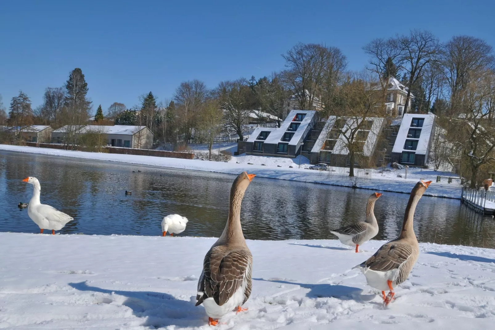 Les Doyards 3-Area winter 1km