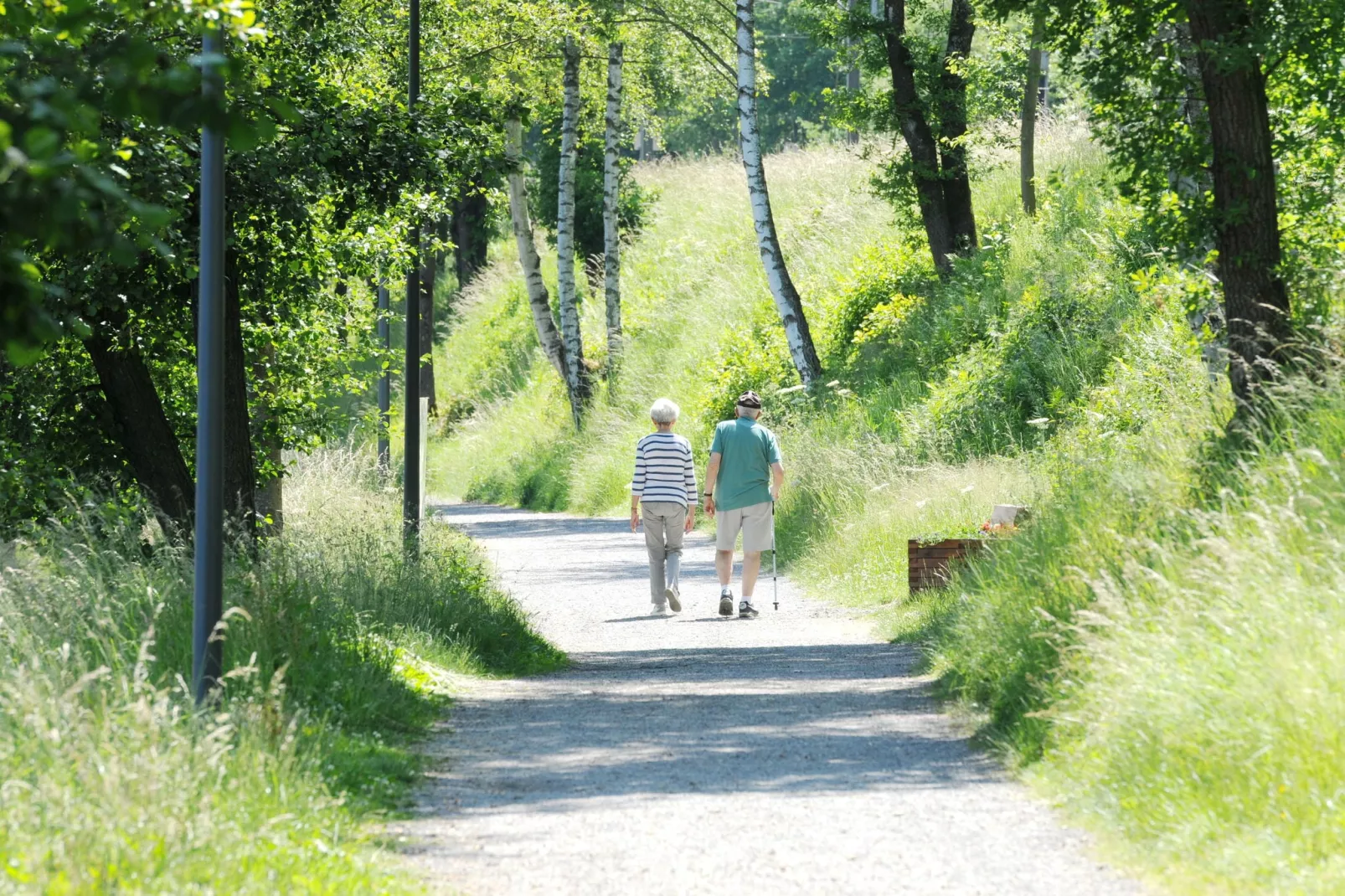 Les Doyards 3-Areas summer 5km