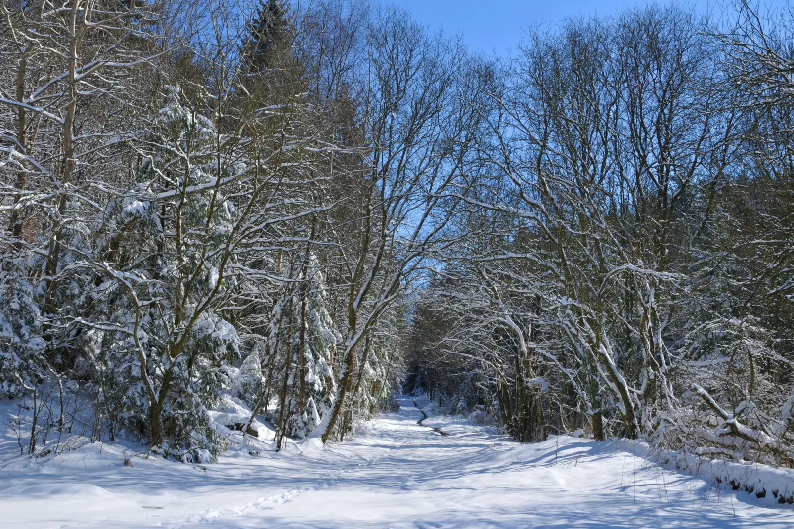 Les Doyards 3-Area winter 5km