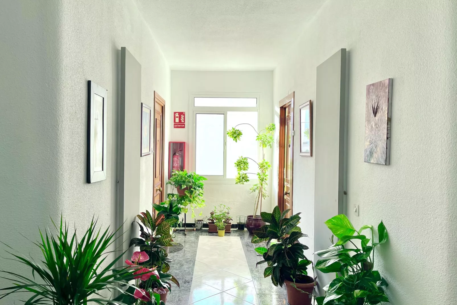 Isabel Manoja-Reception hall