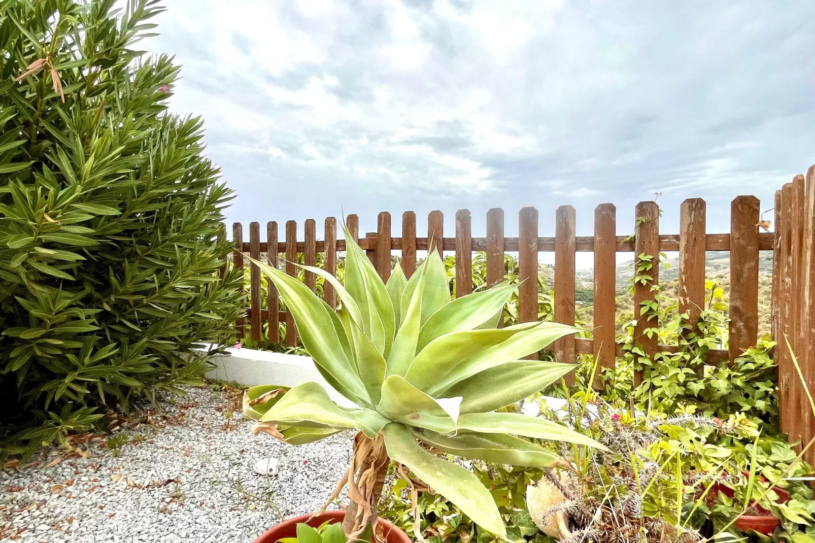 Casa Amparo-Gardens summer