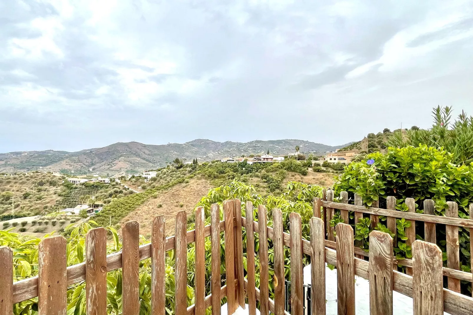 Casa Amparo-View summer