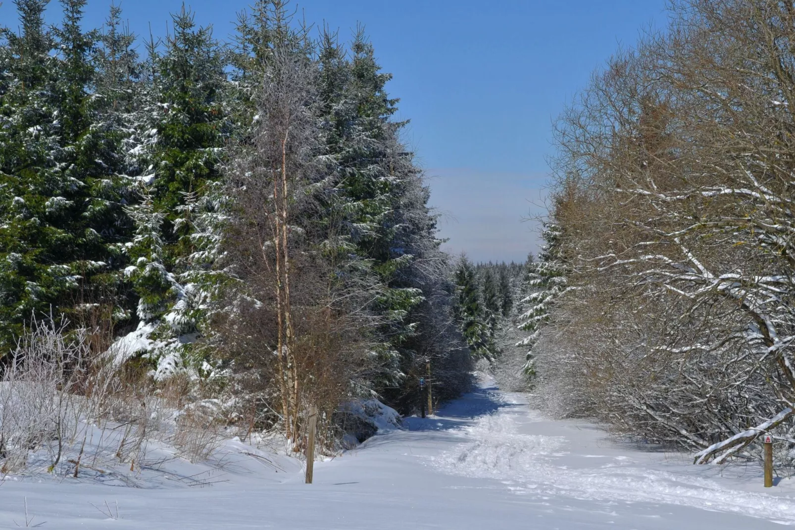 Les Doyards 4-Area winter 20km